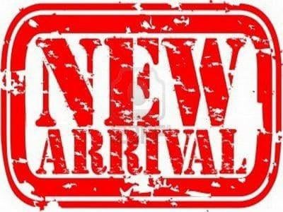 2025 RAM 1500 Warlock