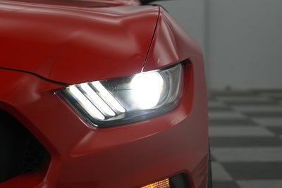 2019 Ford Mustang Shelby GT350