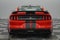 2019 Ford Mustang Shelby GT350