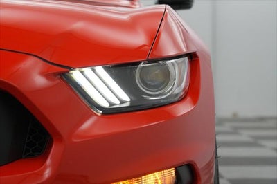 2019 Ford Mustang Shelby GT350