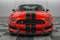 2019 Ford Mustang Shelby GT350