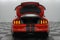 2019 Ford Mustang Shelby GT350