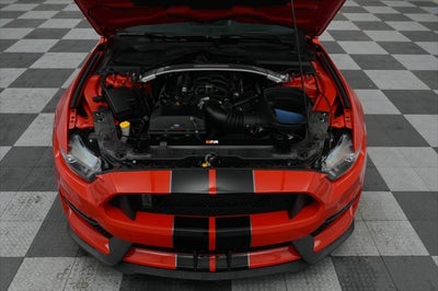 2019 Ford Mustang Shelby GT350