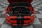 2019 Ford Mustang Shelby GT350