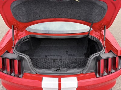 2019 Ford Mustang Shelby GT350