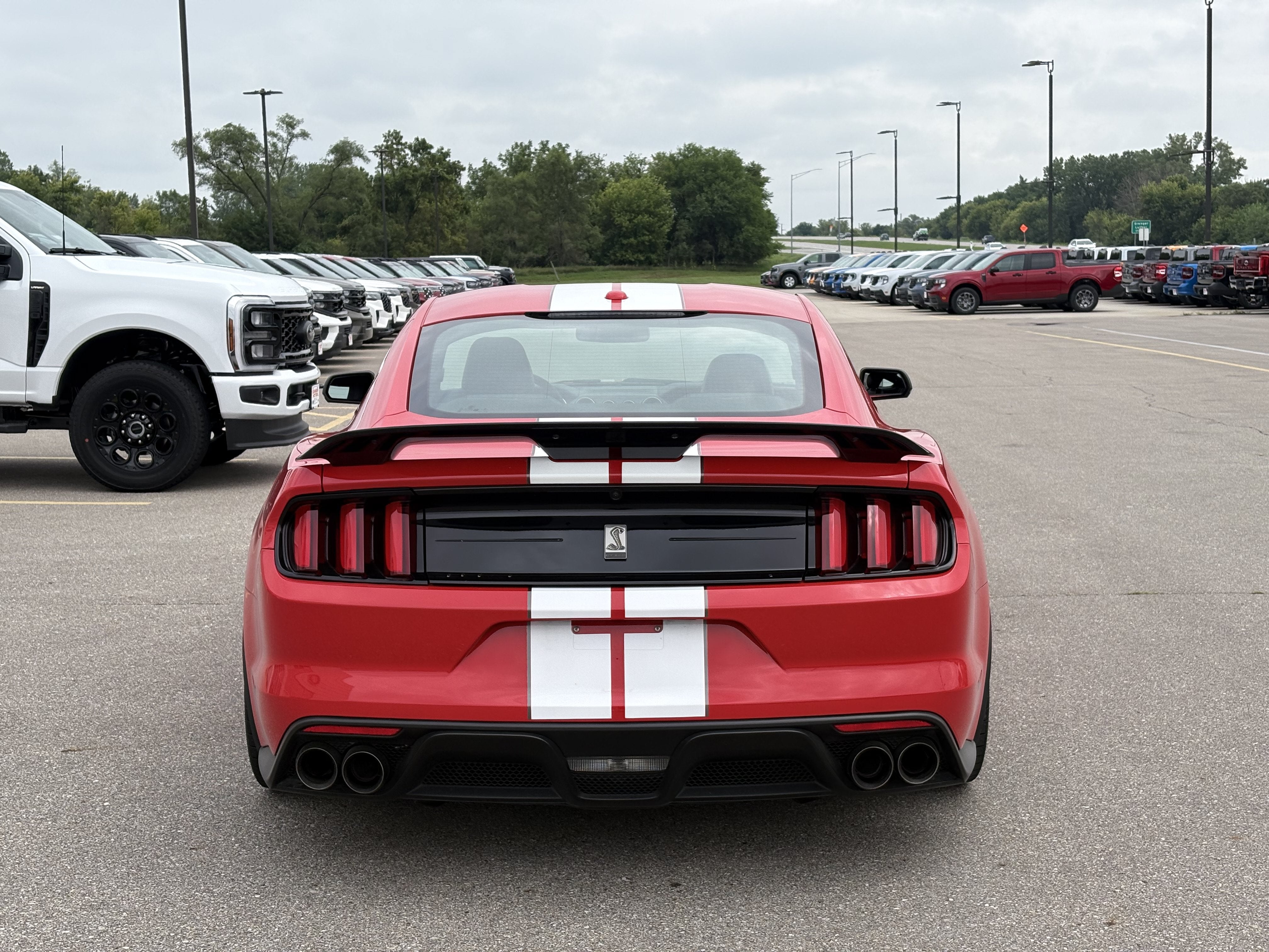 2019 Ford Mustang Shelby GT350
