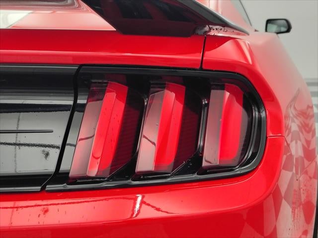 2019 Ford Mustang Shelby GT350