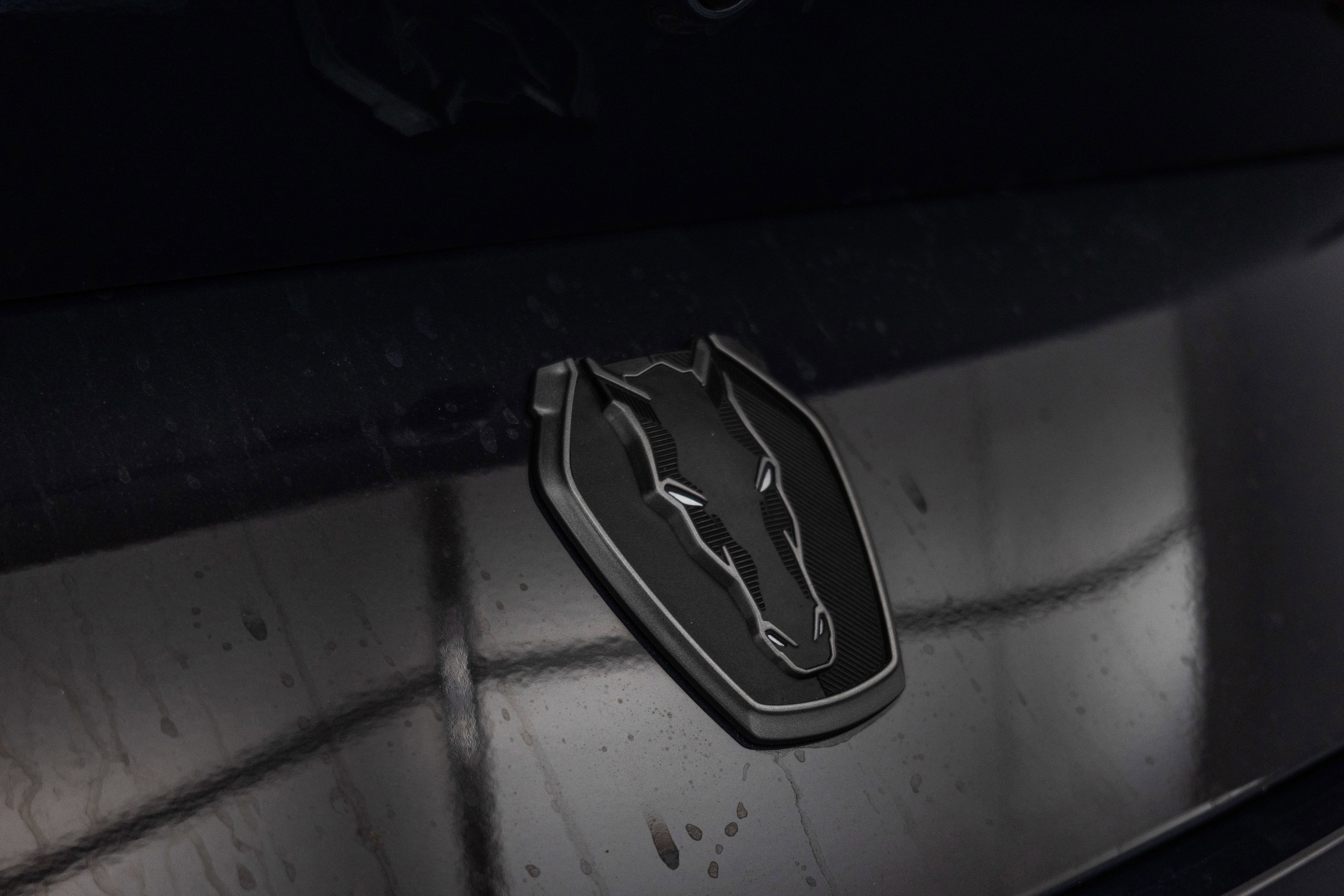 2025 Ford Mustang Dark Horse