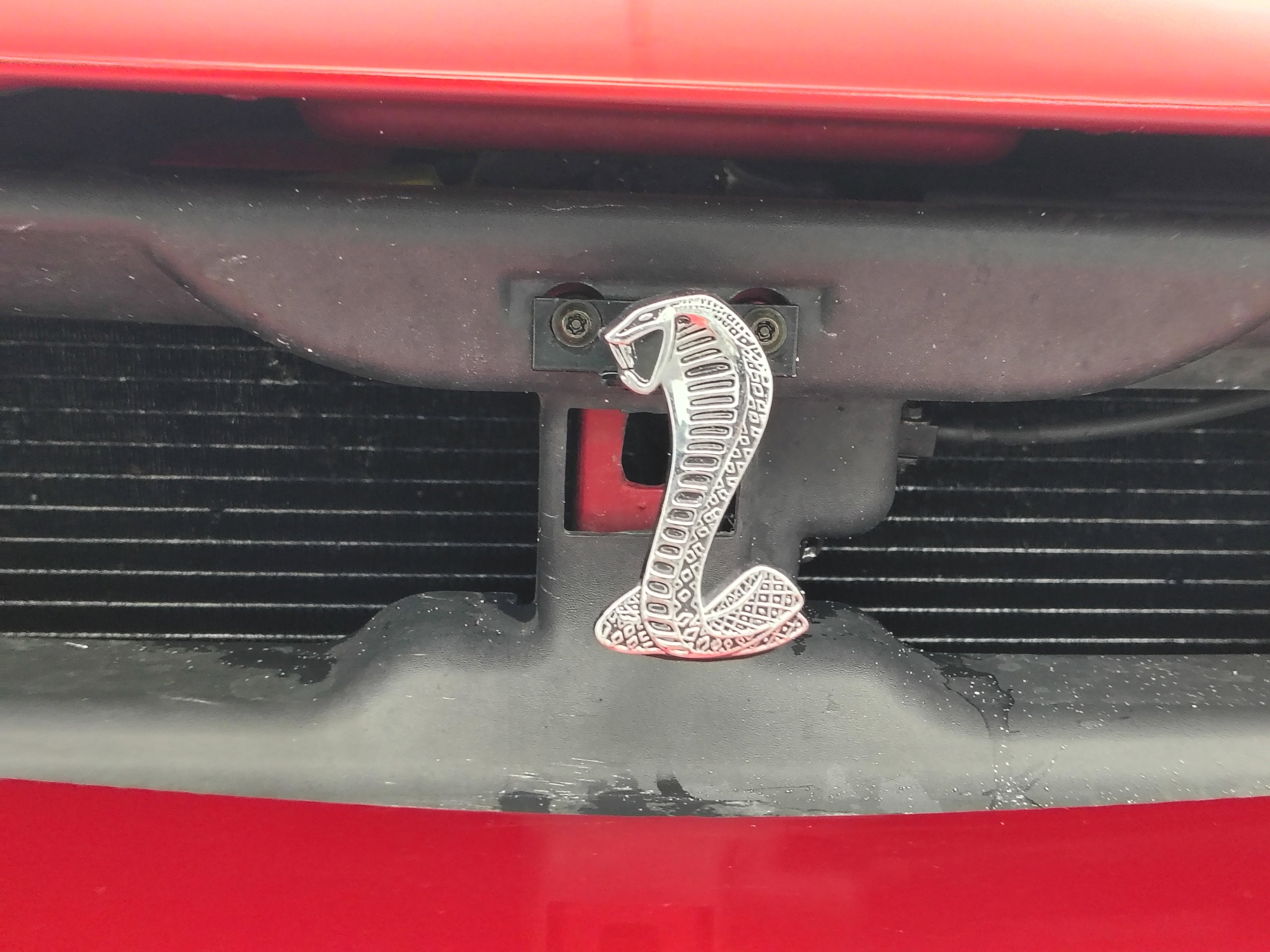 2003 Ford Mustang SVT Cobra