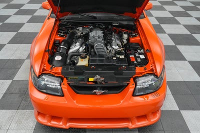 2004 Ford Mustang SVT Cobra
