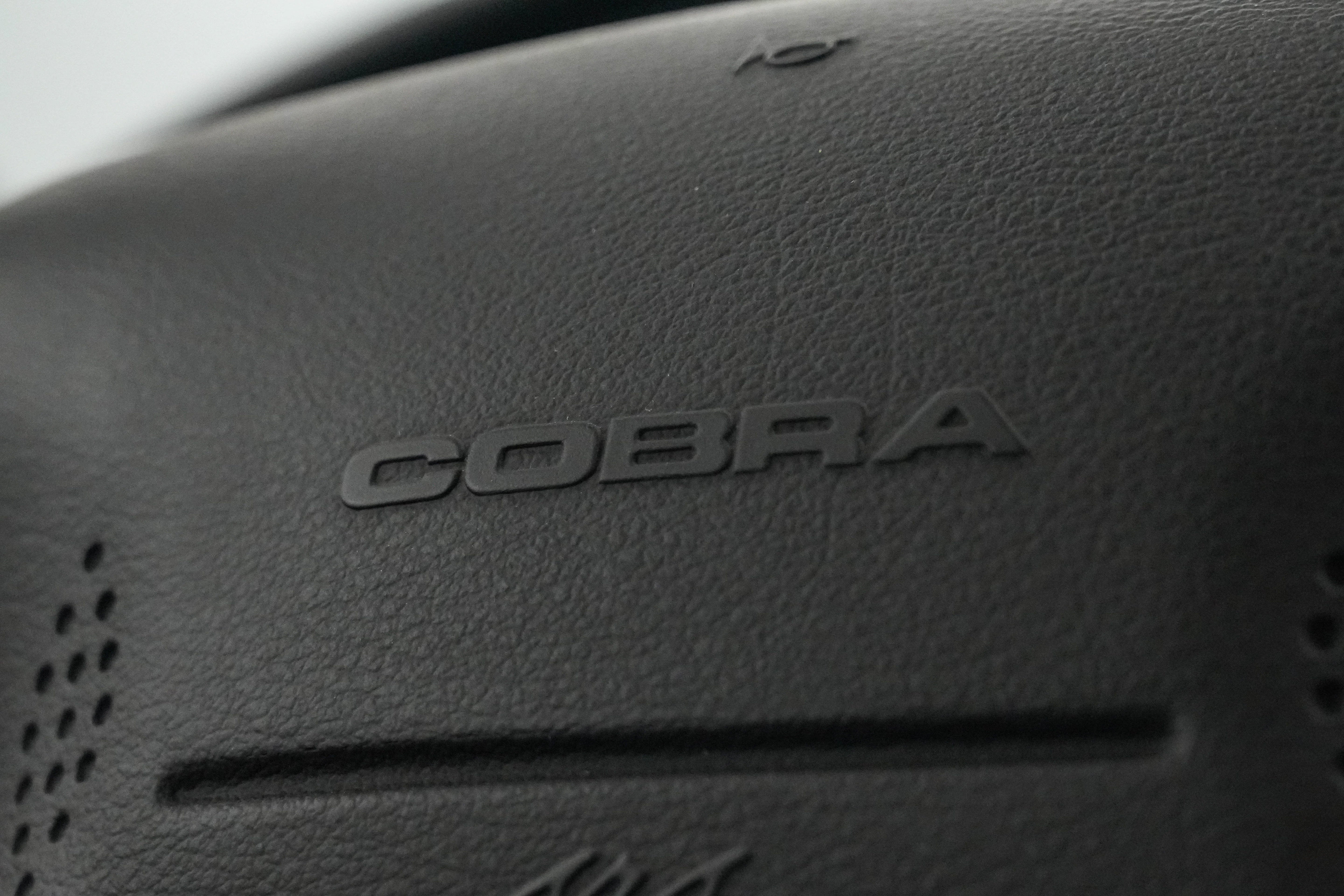2004 Ford Mustang SVT Cobra