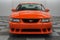 2004 Ford Mustang SVT Cobra