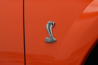 2004 Ford Mustang SVT Cobra