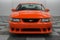 2004 Ford Mustang SVT Cobra