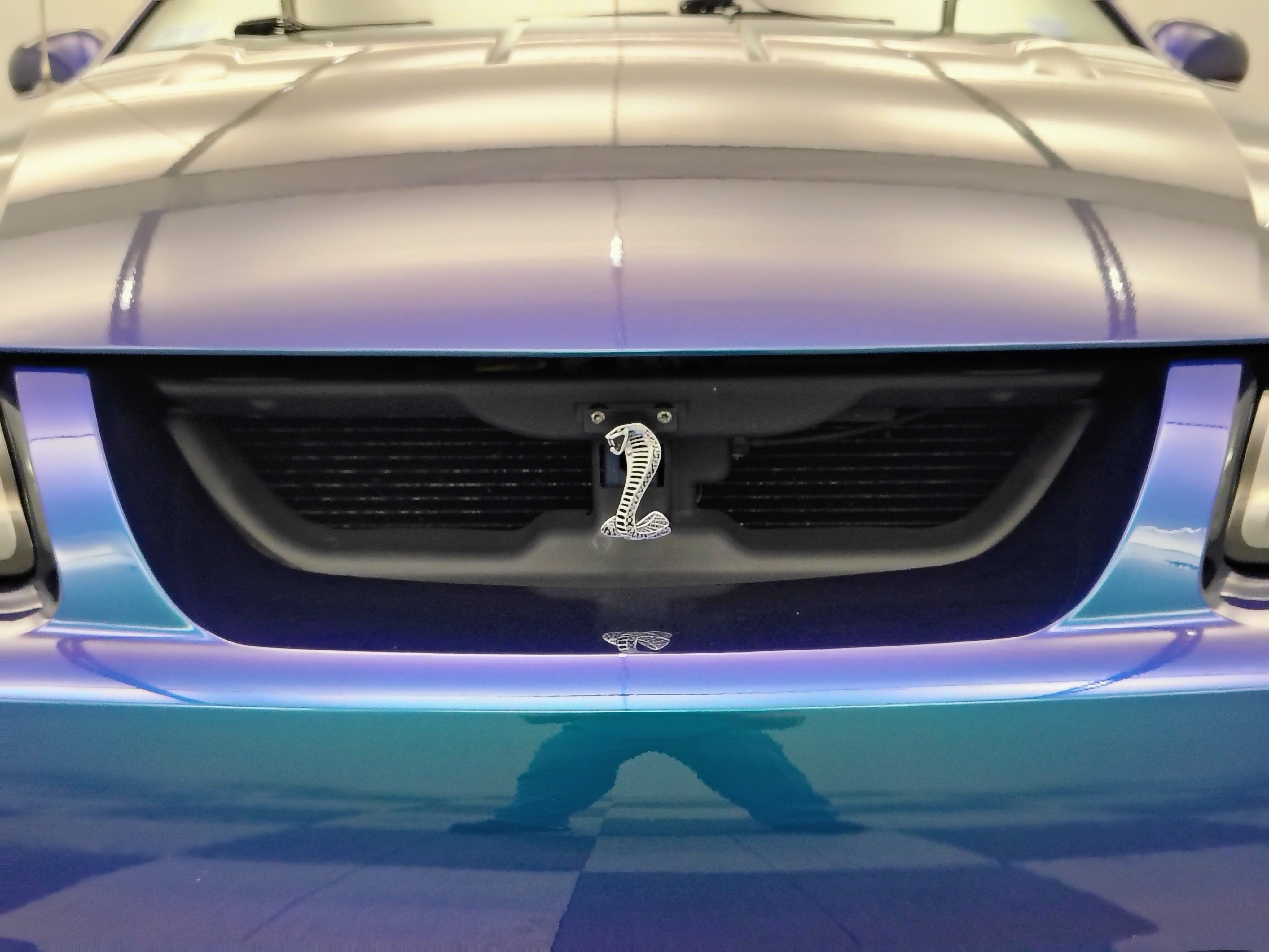 2004 Ford Mustang SVT Cobra