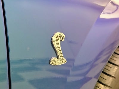 2004 Ford Mustang SVT Cobra