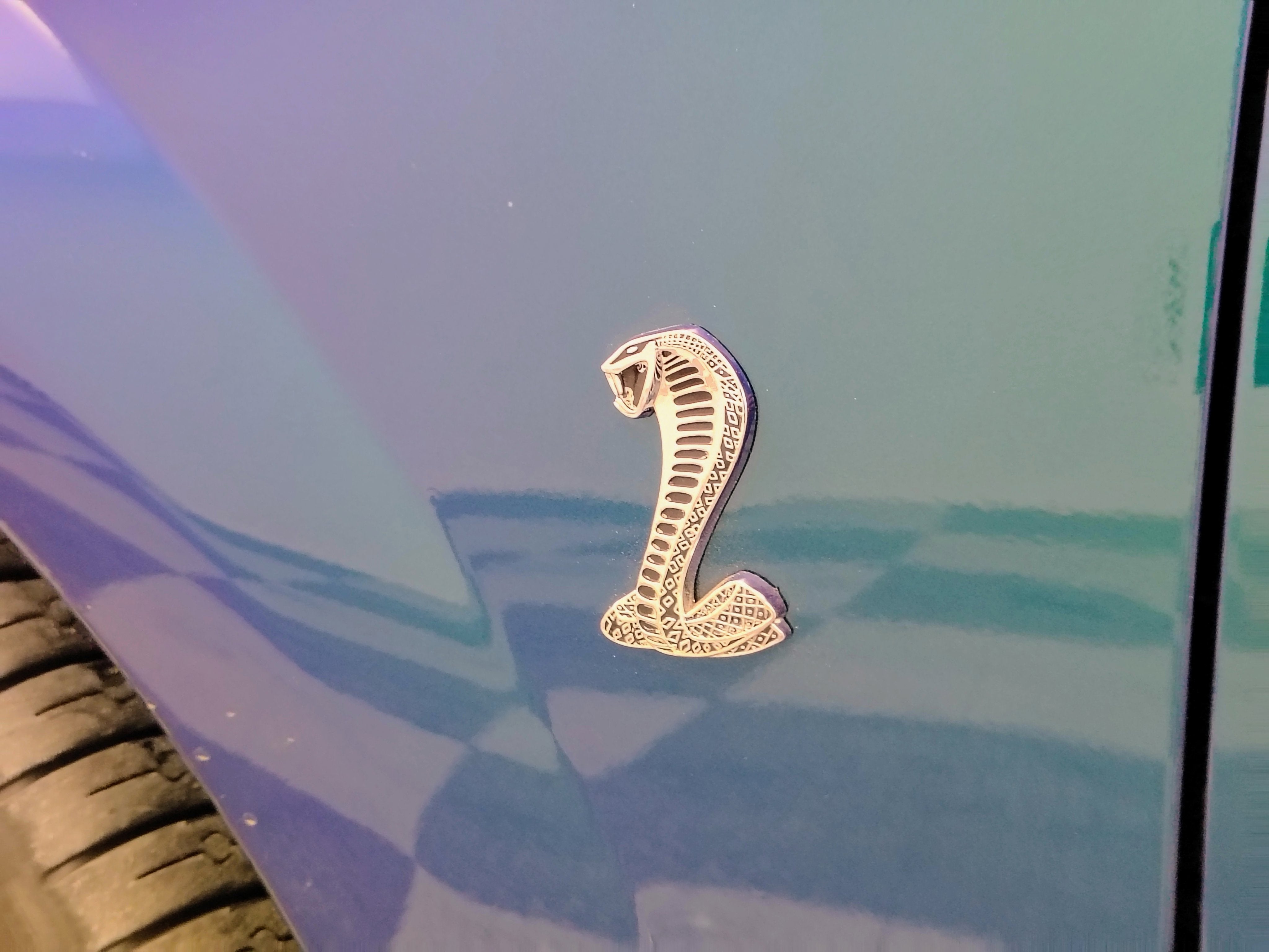 2004 Ford Mustang SVT Cobra