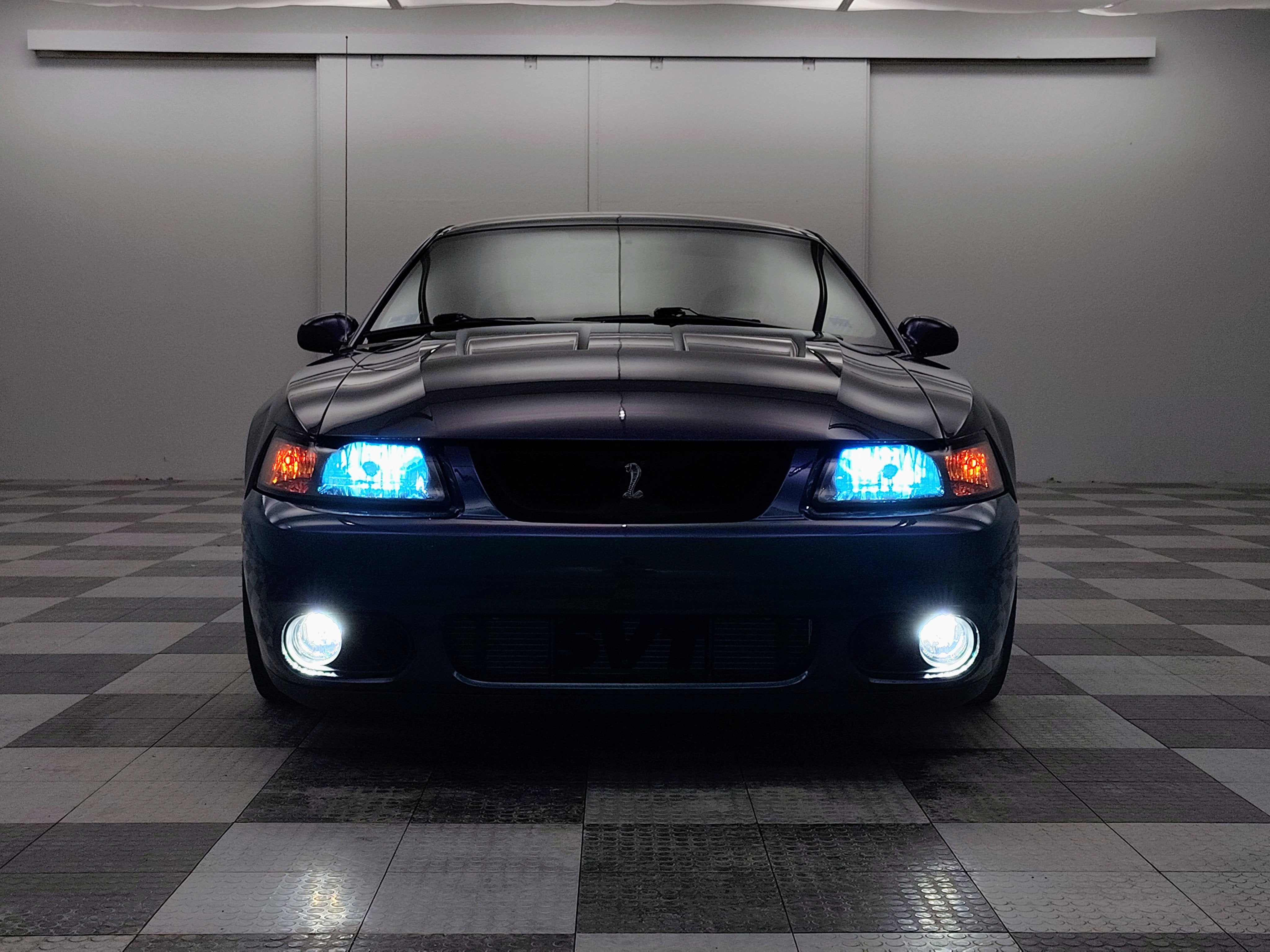 2004 Ford Mustang SVT Cobra