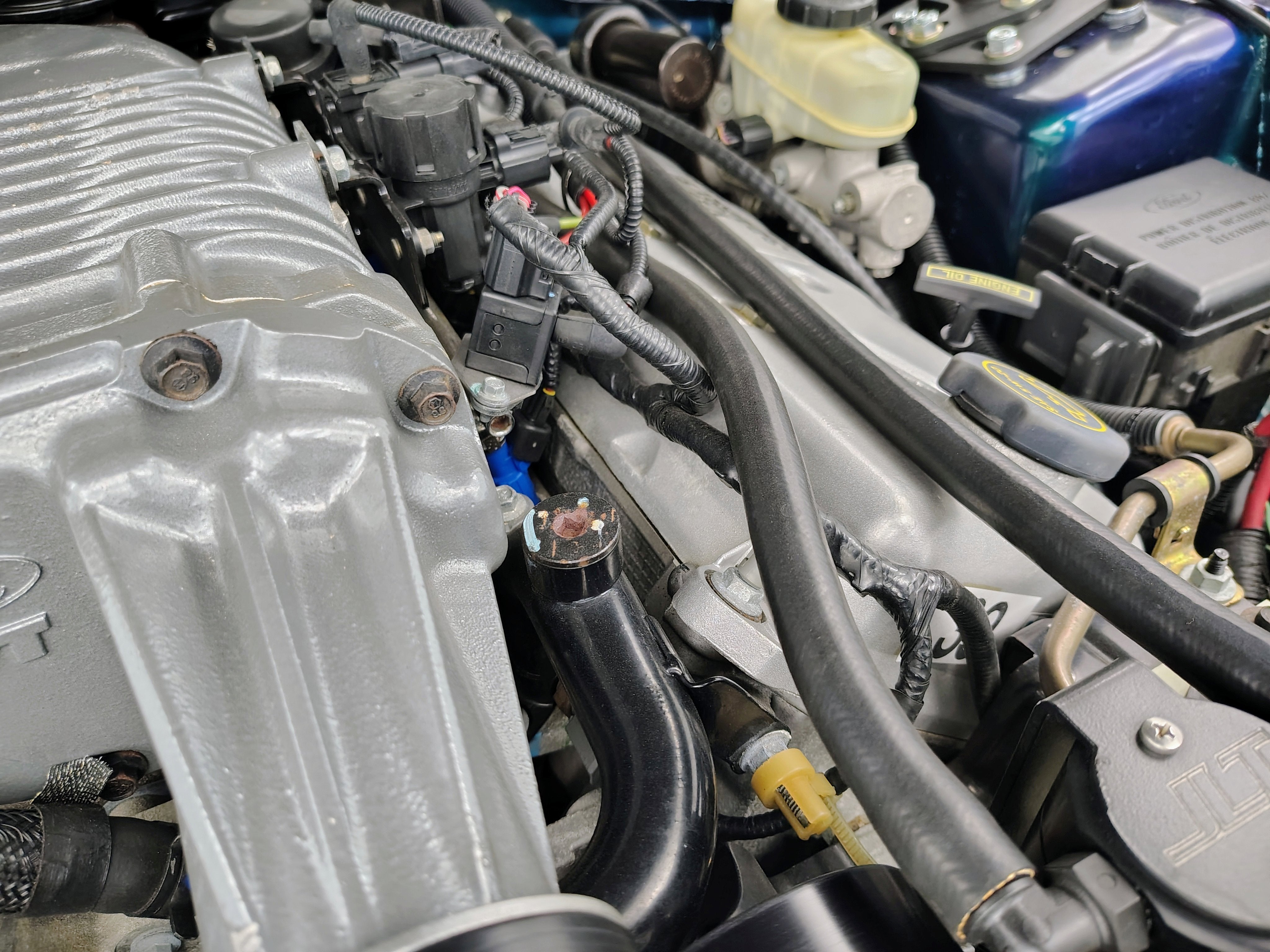 2004 Ford Mustang SVT Cobra