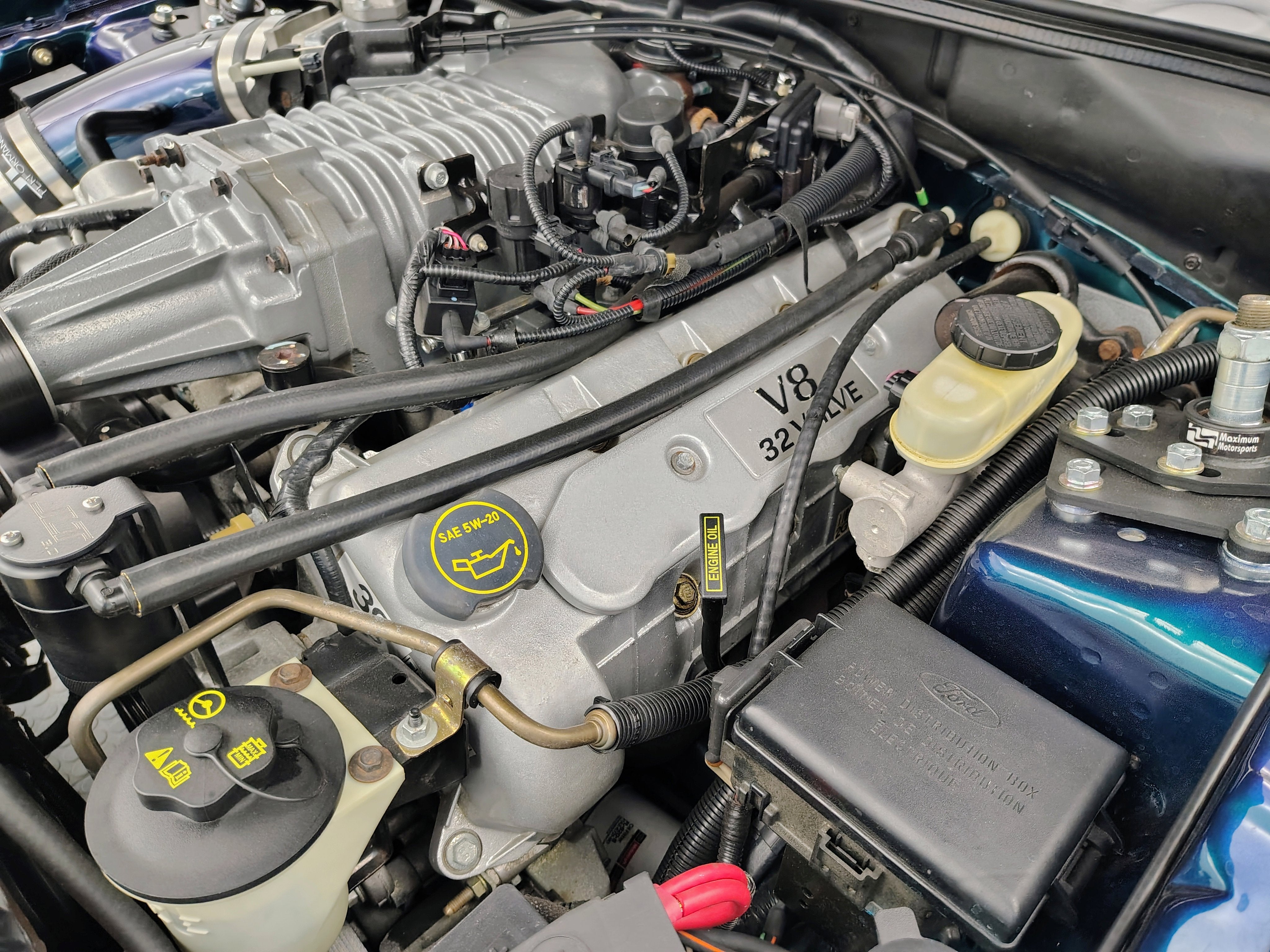 2004 Ford Mustang SVT Cobra