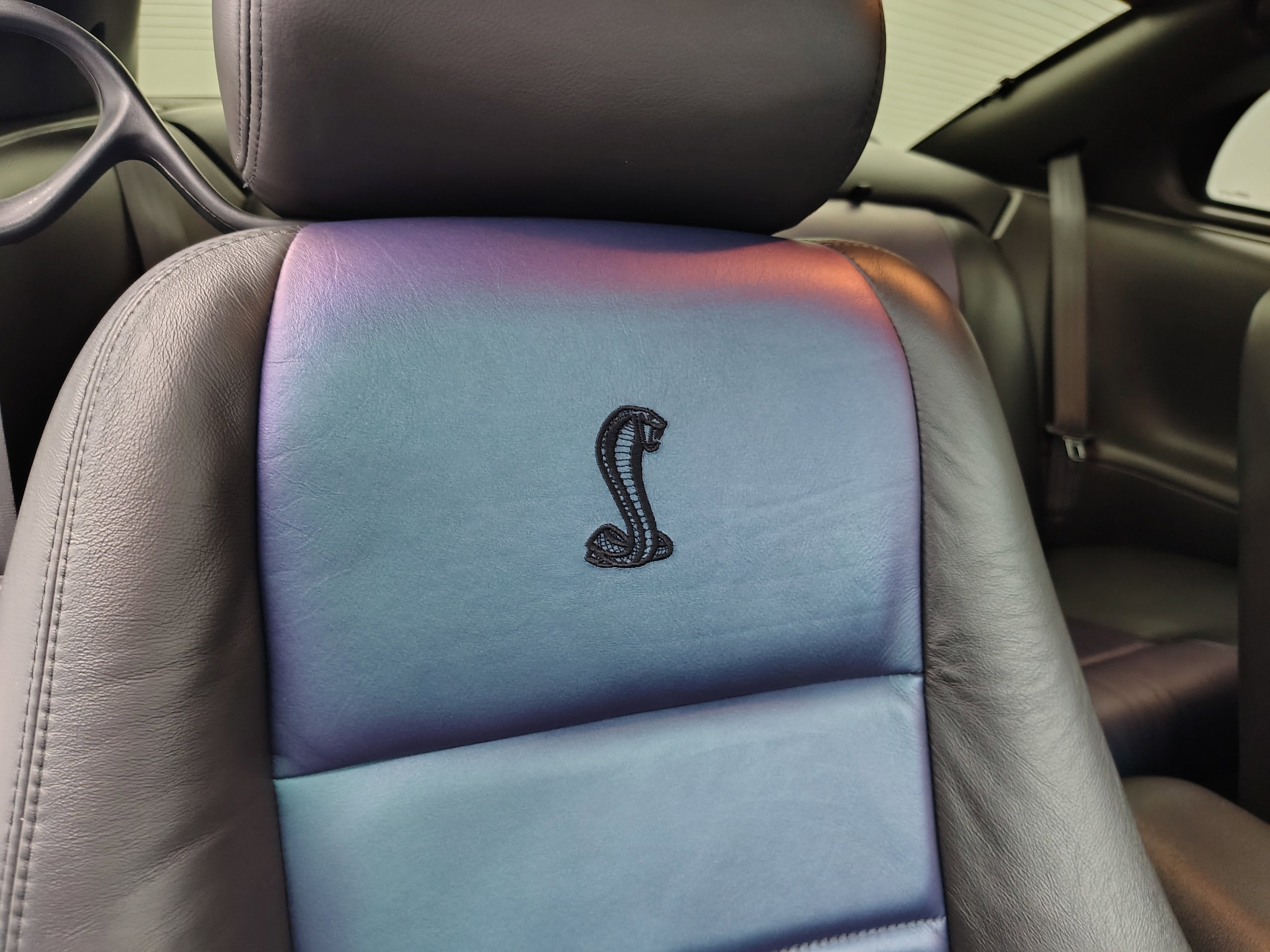 2004 Ford Mustang SVT Cobra