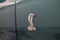 1997 Ford Mustang Cobra