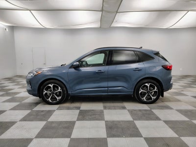 2023 Ford Escape ST-Line Elite