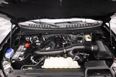 2025 Ford Expedition Active MAX