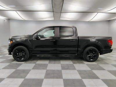 2026 Ford F-150 STX Lobo