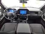 2026 Ford F-150 STX Lobo