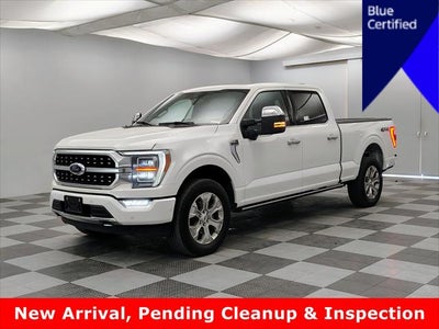 2023 Ford F-150 Platinum