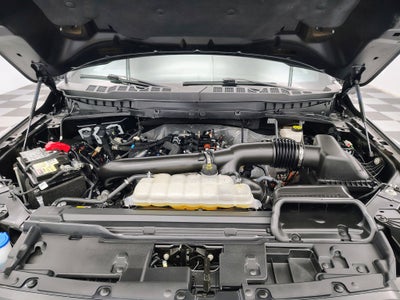 2024 Ford F-150 Tremor