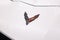 2022 Chevrolet Corvette Stingray RWD Coupe 1LT