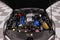 2013 Ford Shelby GT500 Shelby GT500