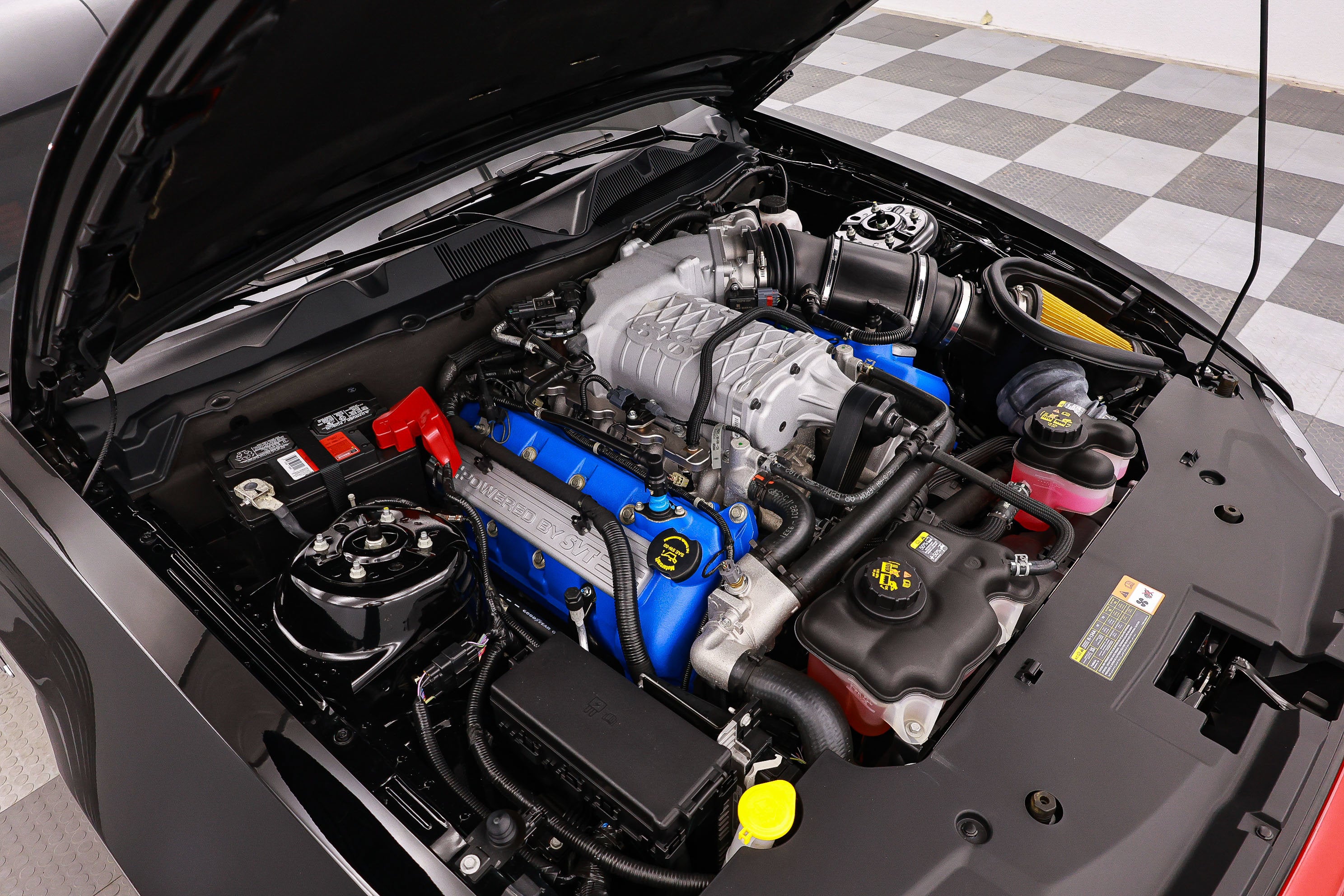 2013 Ford Shelby GT500 Shelby GT500