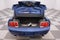 2007 Ford Mustang GT/CS